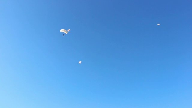 skydivers jump from a plane