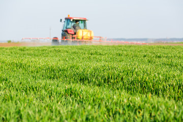 Obraz premium Farmer spraying green wheat field