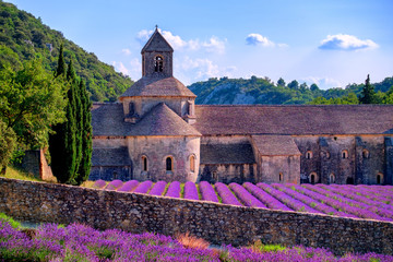 Lavender fields at Senanque monastery, Provence, France - obrazy, fototapety, plakaty