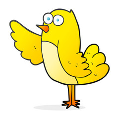cartoon bird