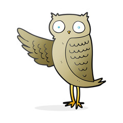 cartoon owl