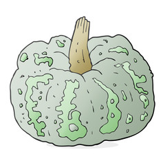 cartoon squash