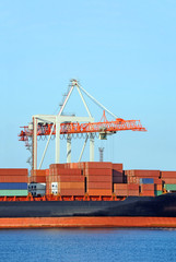 Cargo crane and container ship