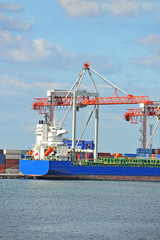 Cargo crane and container ship