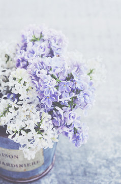 White and violet lilac flowers in vintage vase on grey background