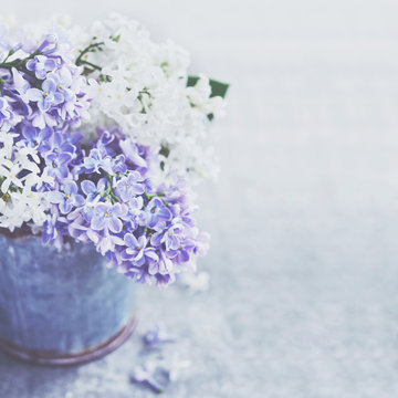 Bunch of white and purple lilac flowers in metal vintage bucket, copy space on grey background