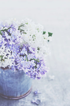 Beautiful bouquet of purple and white lilacs on grey background