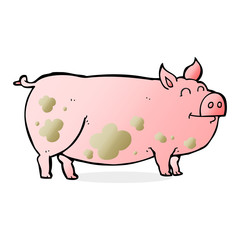 cartoon muddy pig