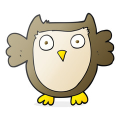 cartoon owl