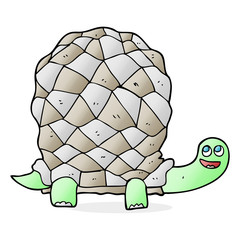 cartoon tortoise