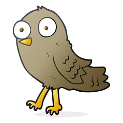 cartoon bird
