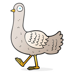 cartoon pigeon