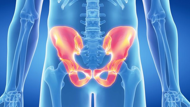 medical 3d animation of the skeletal hip