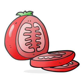 cartoon sliced tomato