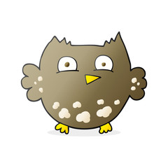 cartoon little owl