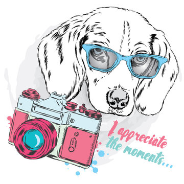 Cool dog with glasses and a camera. Dog vector. Cute puppy.