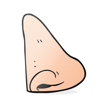 cartoon human nose