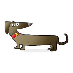 cartoon sausage dog