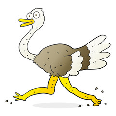 cartoon ostrich