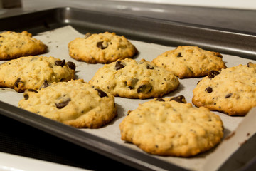 warm chocolate chip cookie