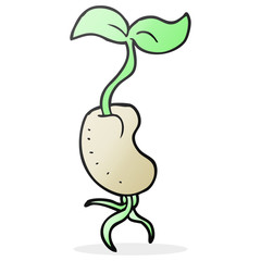 cartoon sprouting seed