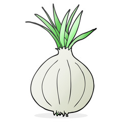 cartoon onion