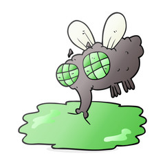 cartoon gross fly