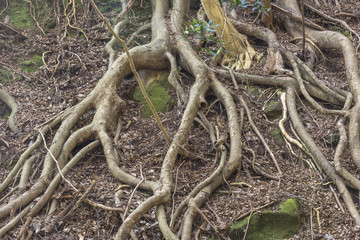 国東半島の文殊仙寺