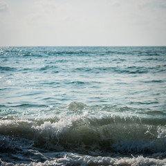 Sea with surf on the beach