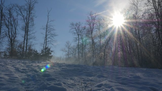 Trees on Kraljevica park hill  snowed under 4K 2160p UHD footage - Hills and forest near town of Zajecar covered with snow 4K 3840X2160 UHD video