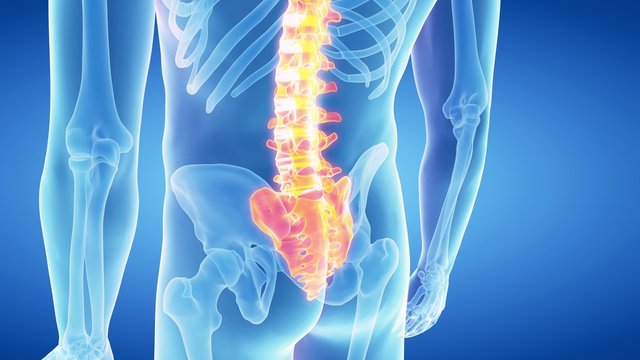 medical 3d animation of the human lumbar spine