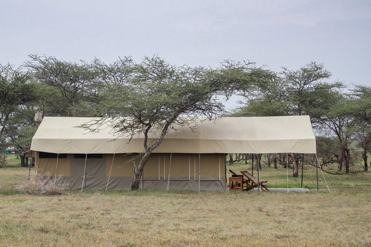 Fototapeta Safari In Serengeti