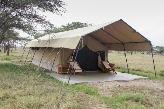 Safari In Serengeti