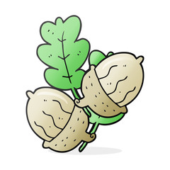 cartoon acorns