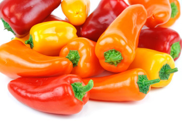 fresh colored peppers on the white background