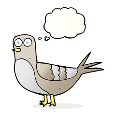 thought bubble cartoon pigeon