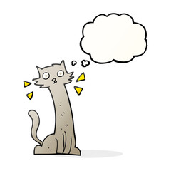 thought bubble cartoon cat