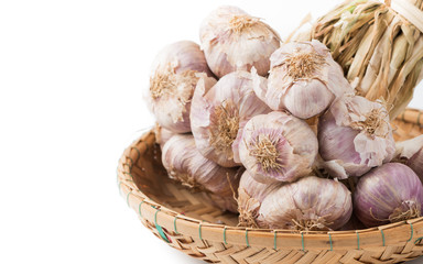 Garlic isolated