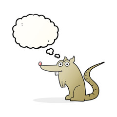 thought bubble cartoon rat