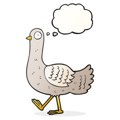 thought bubble cartoon pigeon