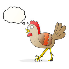 thought bubble cartoon chicken