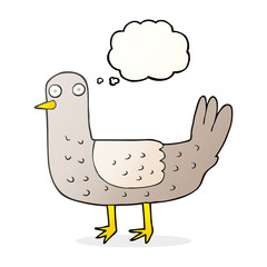 thought bubble cartoon bird