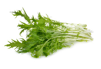 Mizuna, Japanese water vegetable or potherb mustard on white background