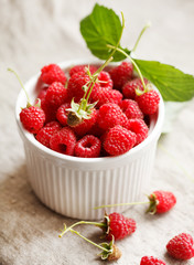 fresh raspberries