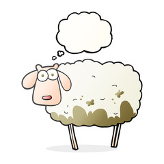 thought bubble cartoon muddy sheep