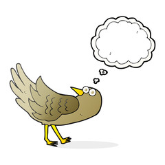 thought bubble cartoon bird