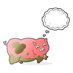 thought bubble cartoon pig
