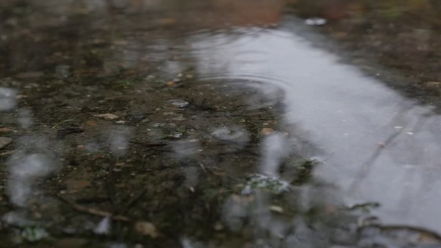 Water ripples outdoor rainy day slow motion 1920X1080 HD footage - Water drops on water surface FullHD 1080p slowmo video