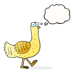 thought bubble cartoon bird