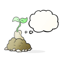 thought bubble cartoon sprouting seed